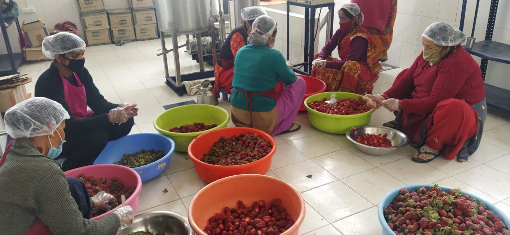 Kumaoni Jam Making Process